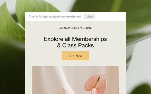 Exemplo de newsletter